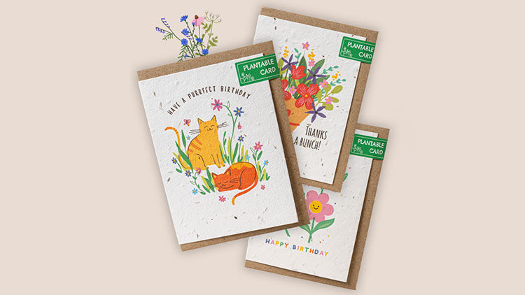 The Foalyard - Willsow Wildflower Plantable Greetings Cards