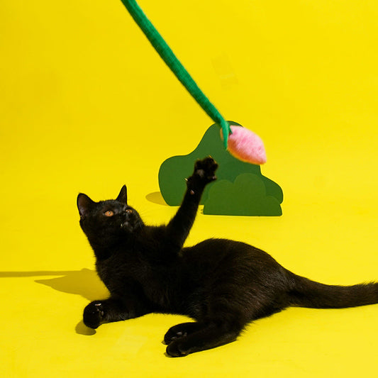 zeze Tulip Teaser Wand for Cats — 123 cm Wand with Crinkly Plush Flower