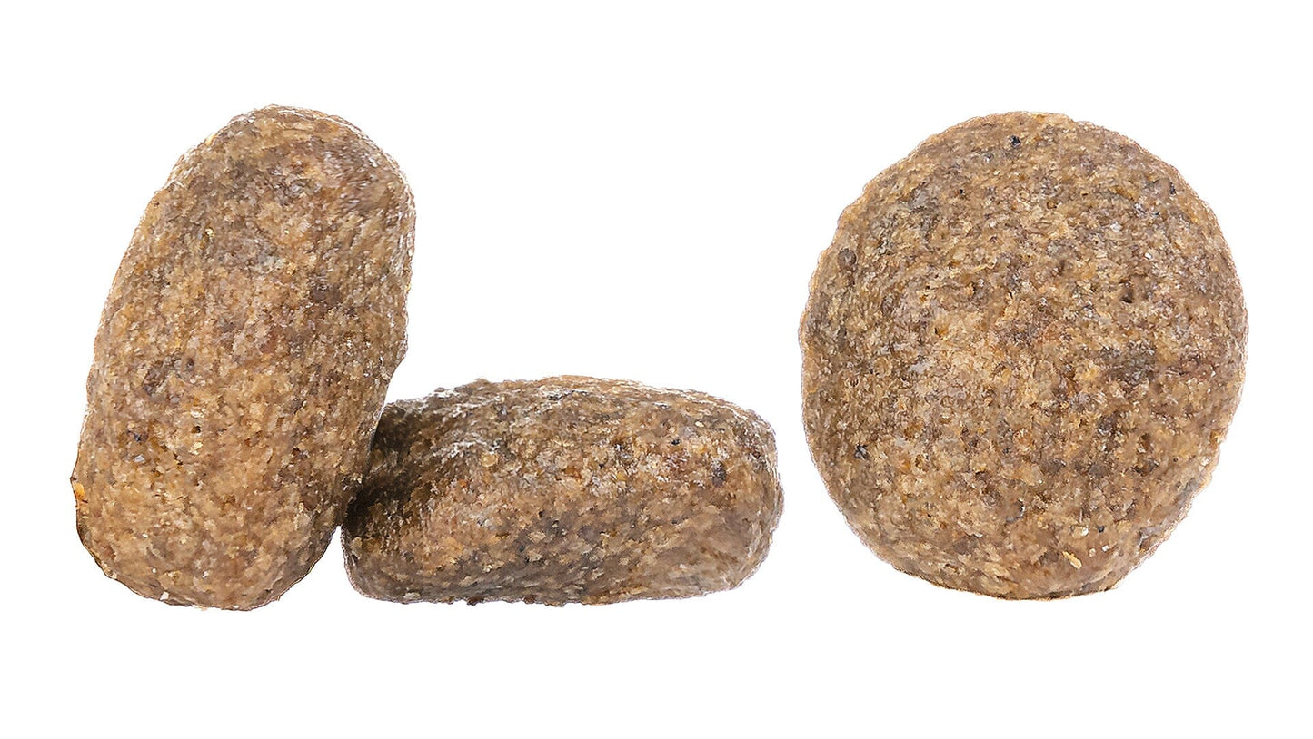 Happy Dog Mini Africa