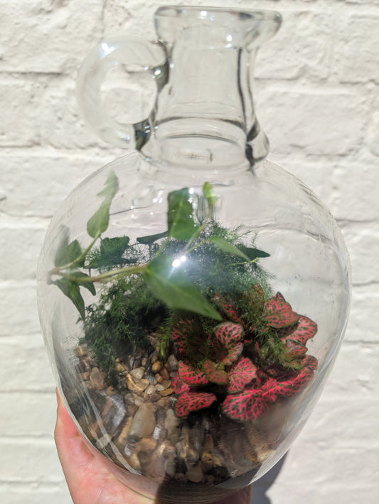 Glass Bottle with handle Terrarium