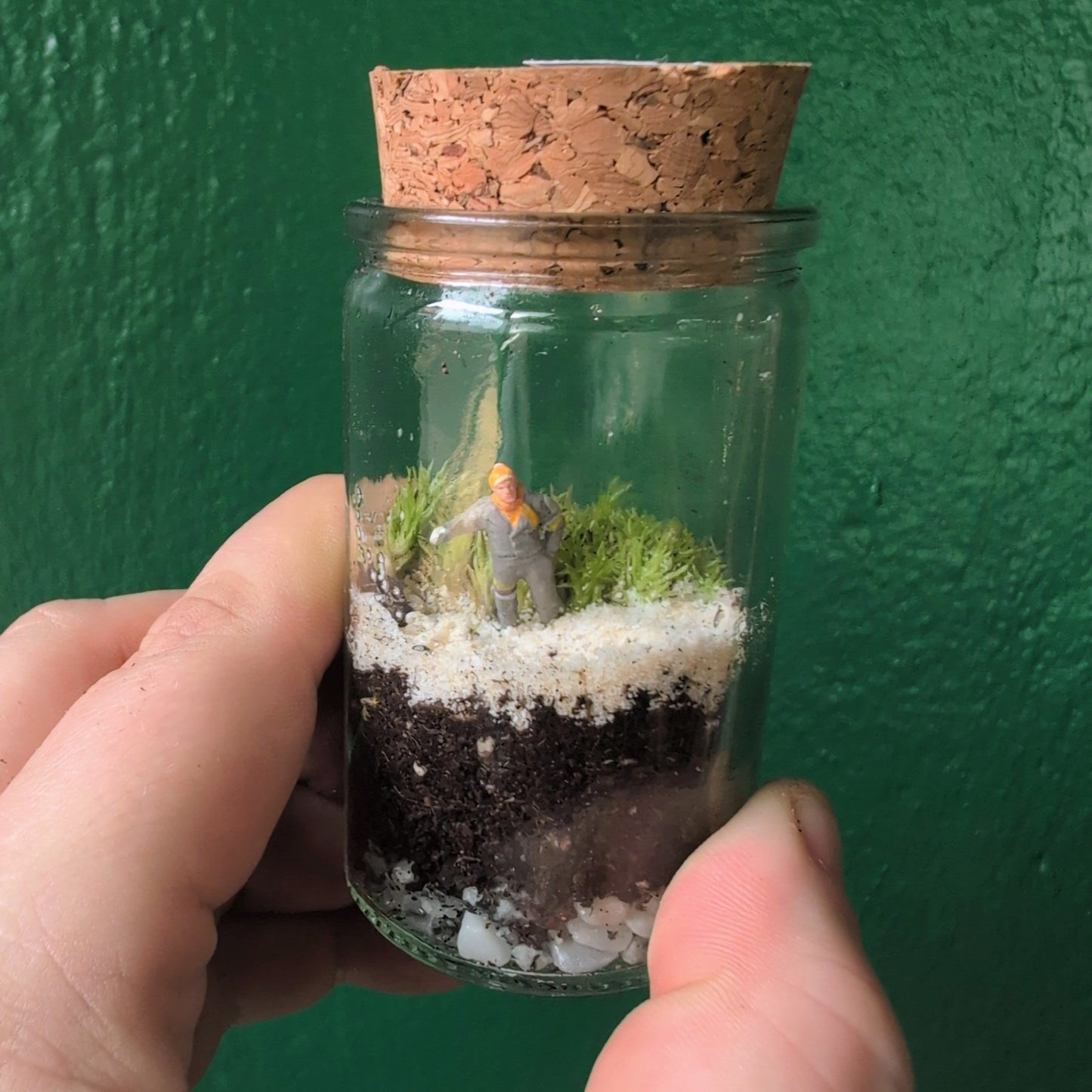 Closed mossarium and terrariums