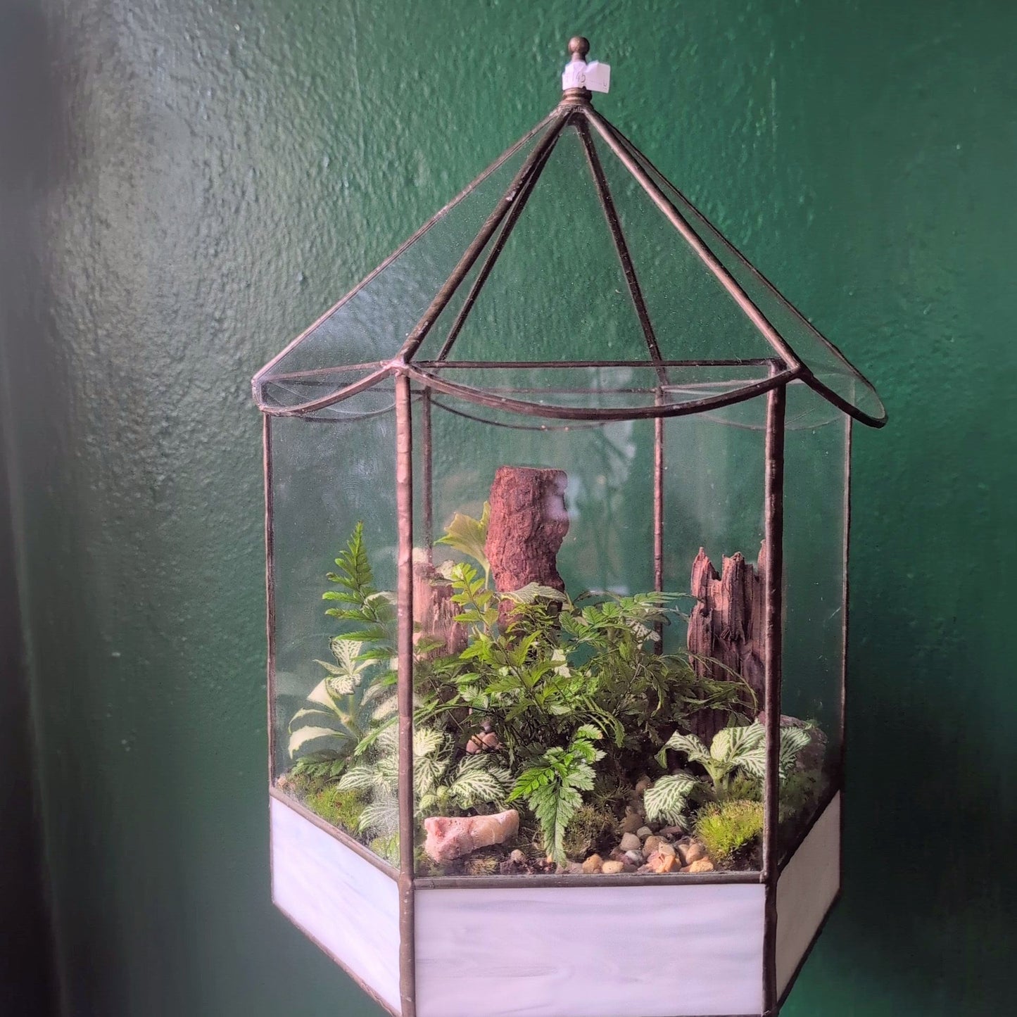 Vintage geometric terrarium