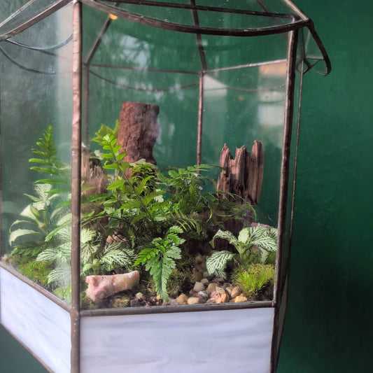 Vintage geometric terrarium
