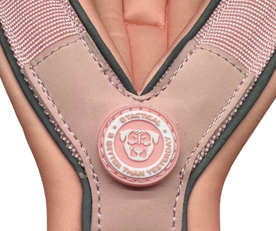 The 2.5cm BTactical™ Slip on Harness | Pastel Pink