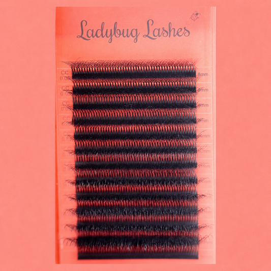 10D Clover Lashes – 16 Row Single Length Trays