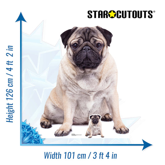 SC1232 Pug Cardboard Cut Out Height 126cm