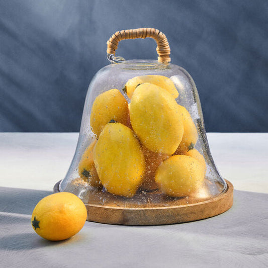 Garner Glass Cheese Dome With Mango Wood Base
