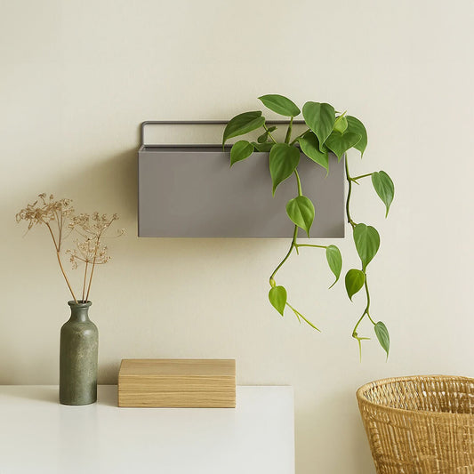Asher Wall Plant Box Grey
