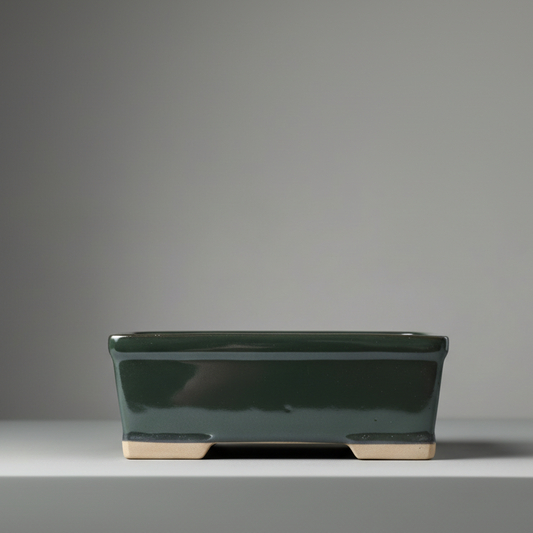 16cm Glazed Bonsai Pot | Rectangle | 16cm x 13cm x 6cm | Black