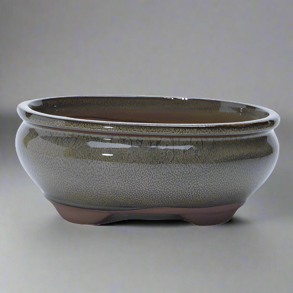 18cm Glazed Bonsai Pot | Oval | 18cm x 15cm x 6cm | Green