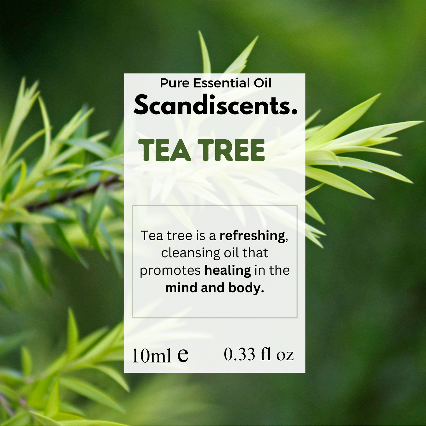 Tea Tree