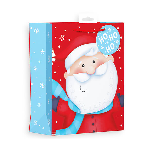 Medium Christmas Gift Bag with Santa Design (W215 x H265 x D100 mm)