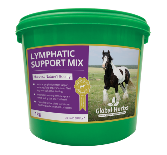 Lymphatic Support Mix - Global Herbs