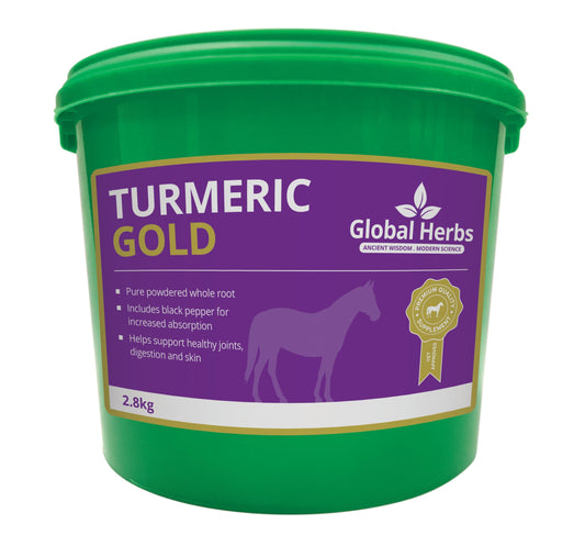 Turmeric - Global Herbs