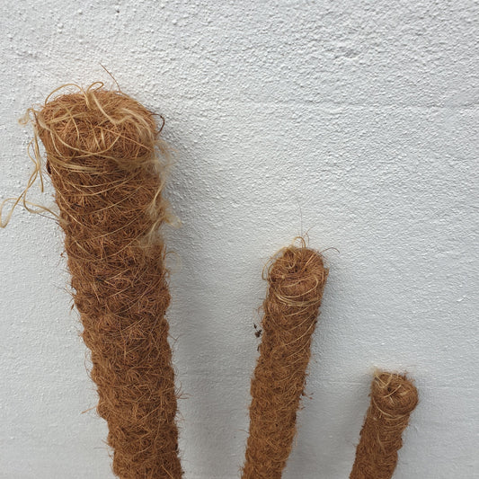 Moss pole- 5 sizes 50cm 80cm,100cm, 120cm, 150cm