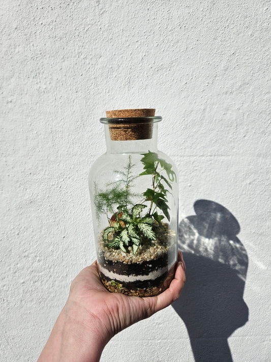 30/05/2026 at 12pm Small Closed Terrarium Workshop