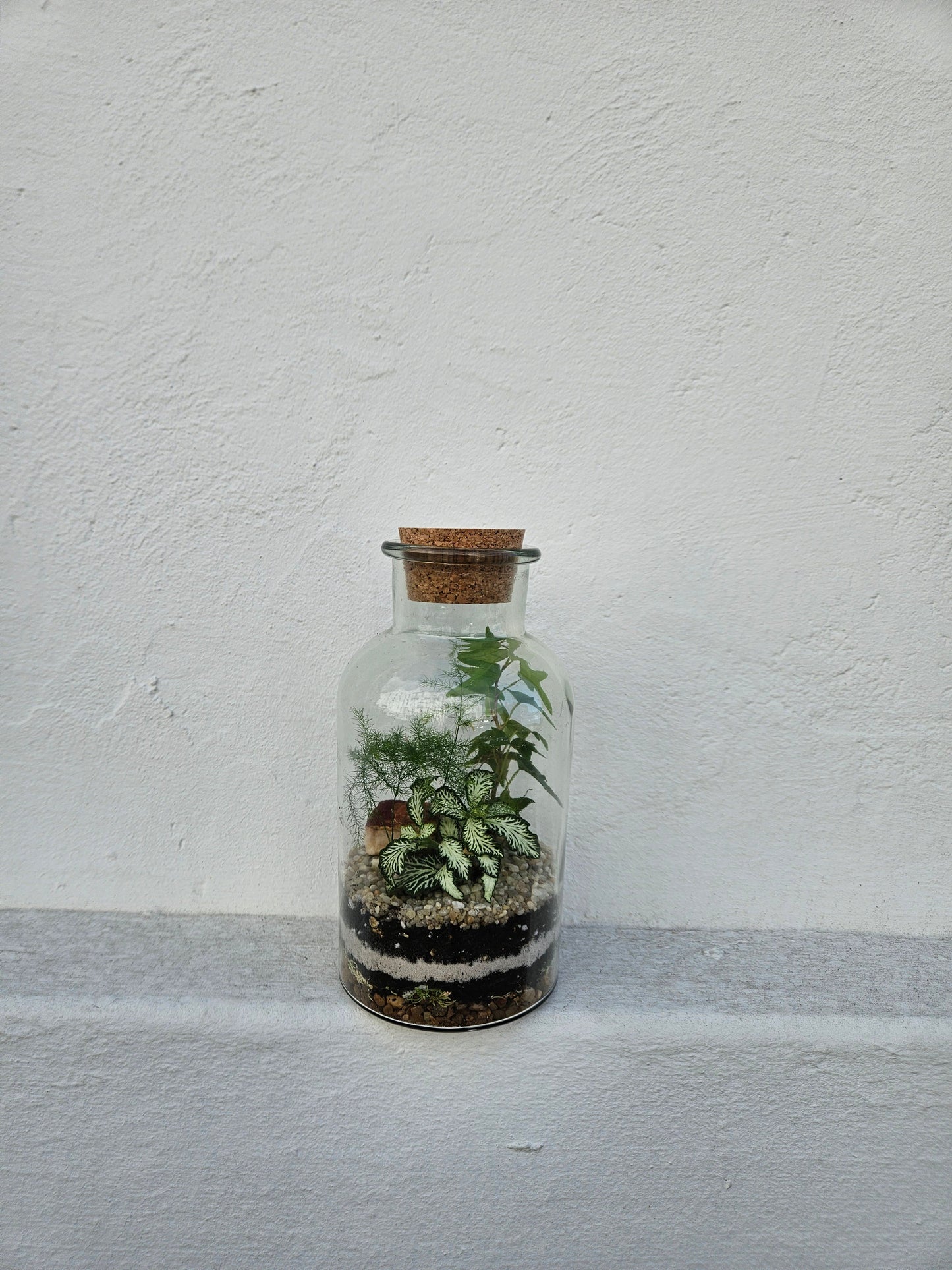 26/02/2026 at 6pm Small Closed Terrarium Evening Workshop