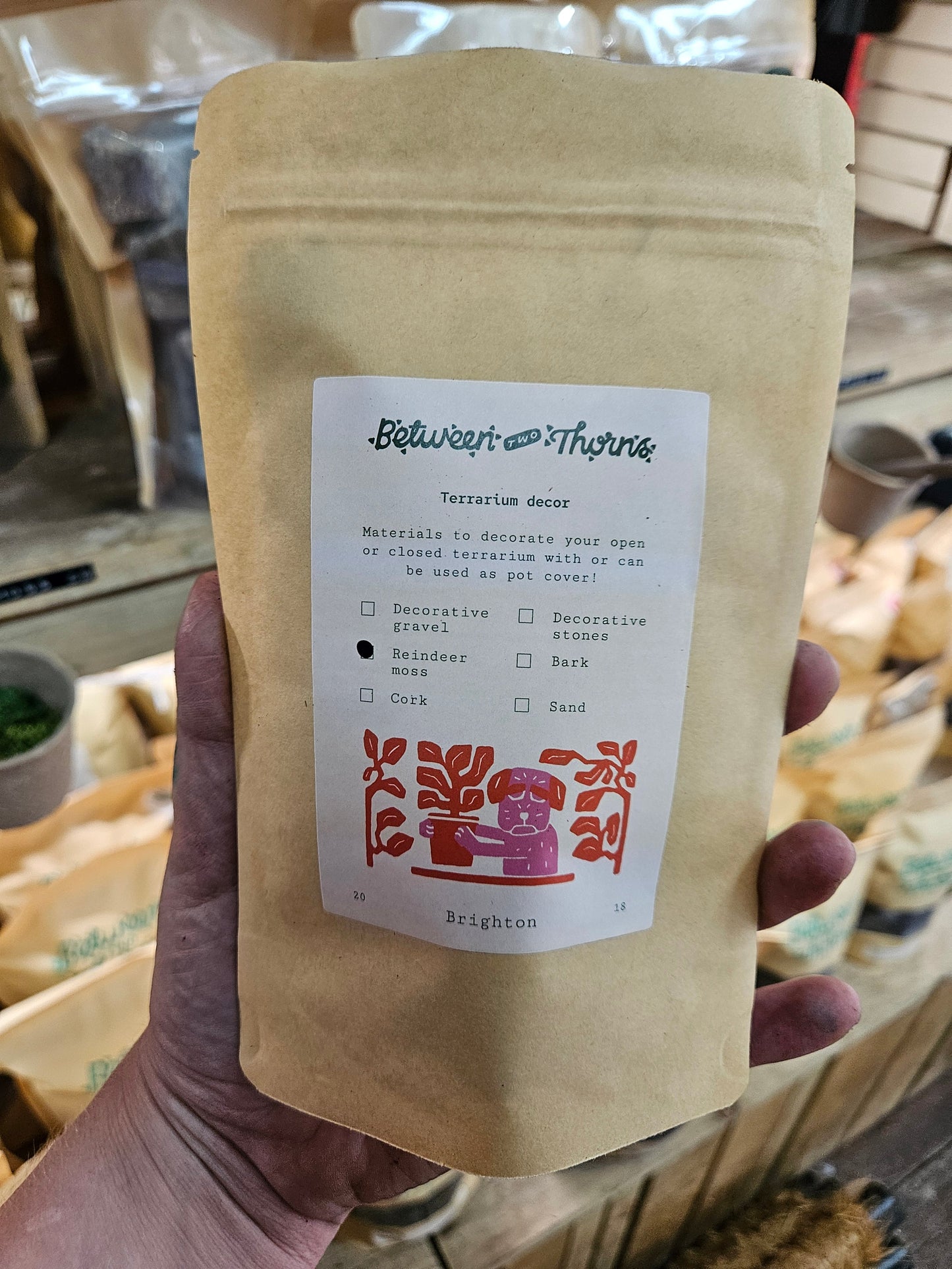 Decorative Reindeer Moss (Cladonia rangiferina-Dyed green)