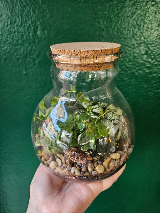 Globe terrarium with cork -3 sizes available