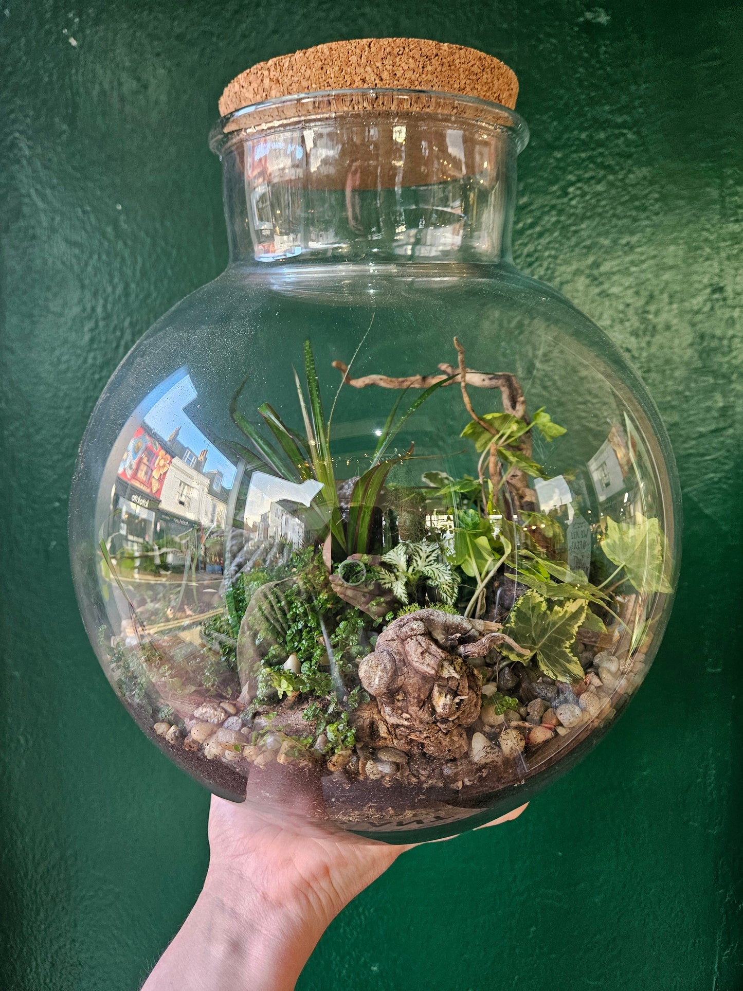 Globe terrarium with cork -3 sizes available