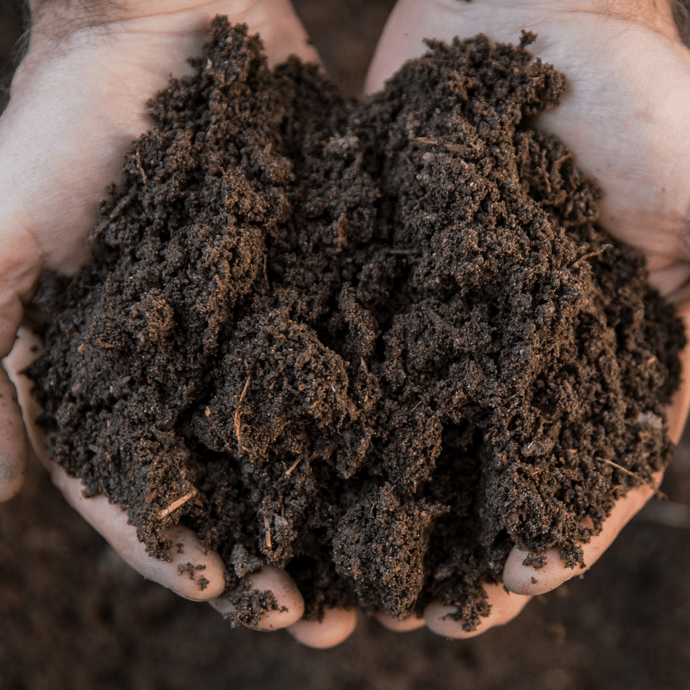Premium Multipurpose Welsh Topsoil - All-In-One