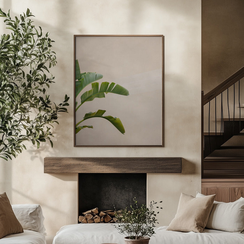 Cannes Banana Plant Print