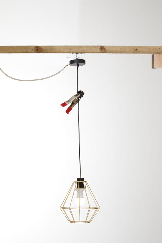 Wyra Champagne Gold Cage Pendant Light