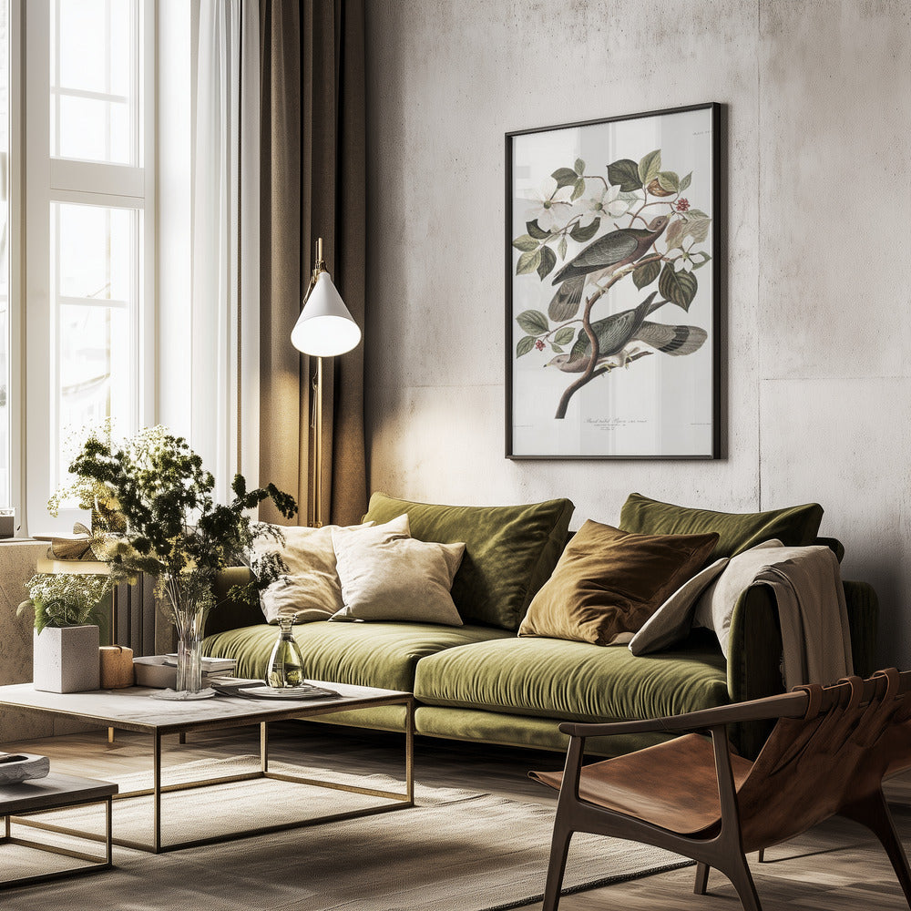 Pigeon From Birds Of America Print