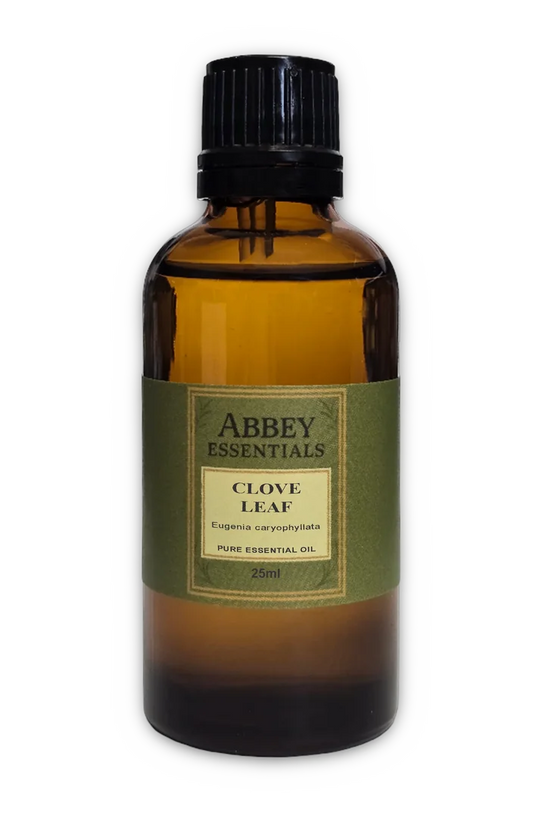 Clove Essential Oil
