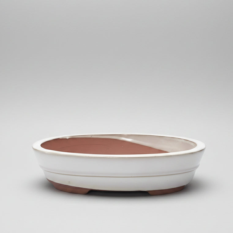 26cm Glazed Bonsai Pot | Oval | 26cm x 20cm x 6cm | White