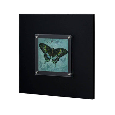 Butterfly 2 Framed Wall Art | Frame