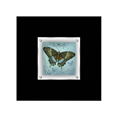Butterfly 2 Framed Wall Art | Frame