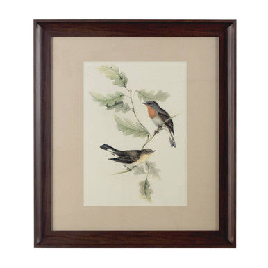 Framed Birds 1 Wall Art | Bird Wall Art