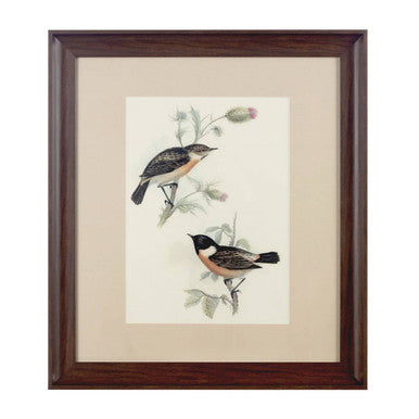 Framed Birds 2 Wall Art | Bird Wall Art