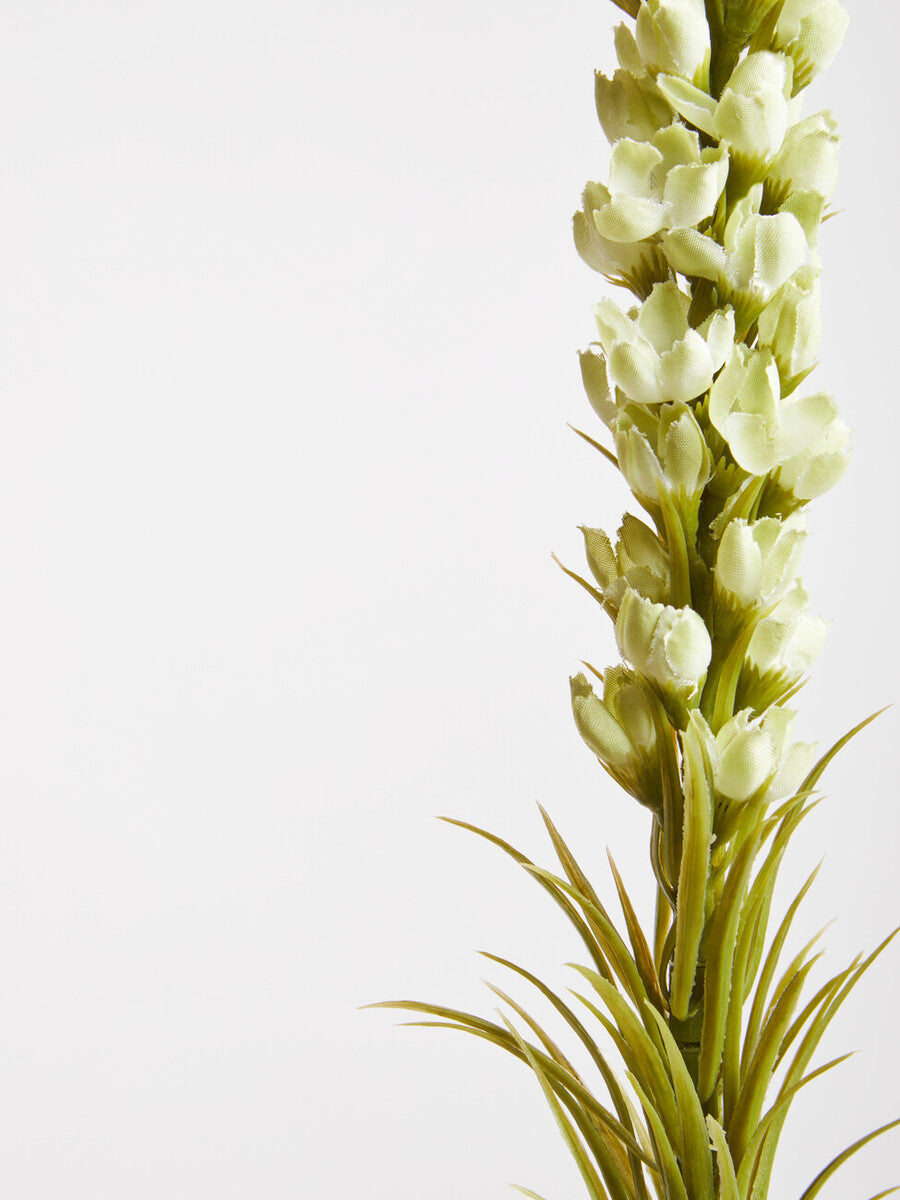 Fiori Grey Feather Stem