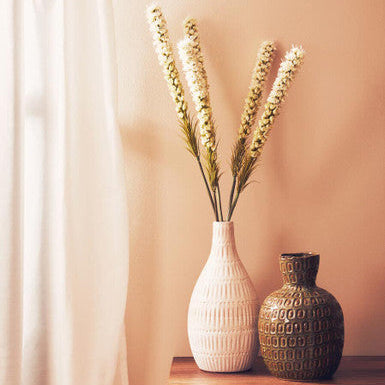 Fiori White Blazing Star Flower Stem