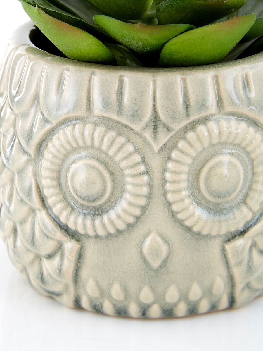 Fiori Large Succulent in Grey Ceramic Owl Pot