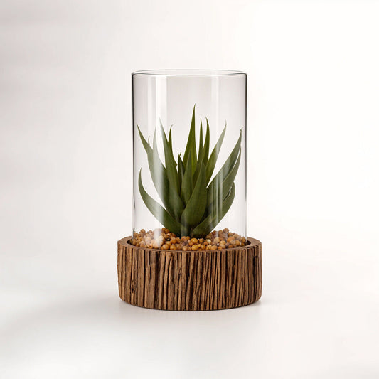 Fiori Small Succulent with Natural Stone Base
