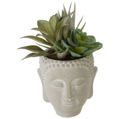 Buddha Pot Mixed Succulent | Fiori
