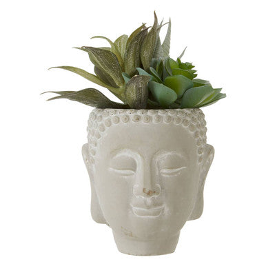 Buddha Pot Mixed Succulent | Fiori