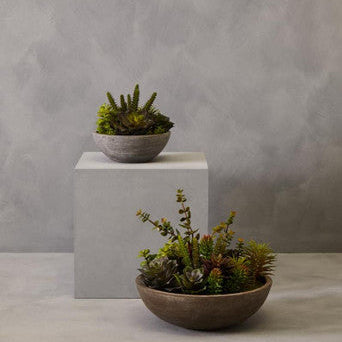 Fiori Mixed Succulent With Stone Effect Pot