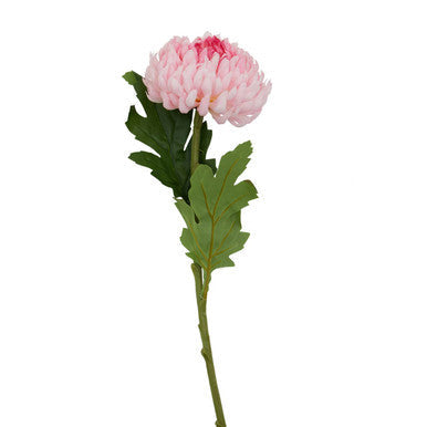 Fiori Pink Chrysanthemum Flower Stem