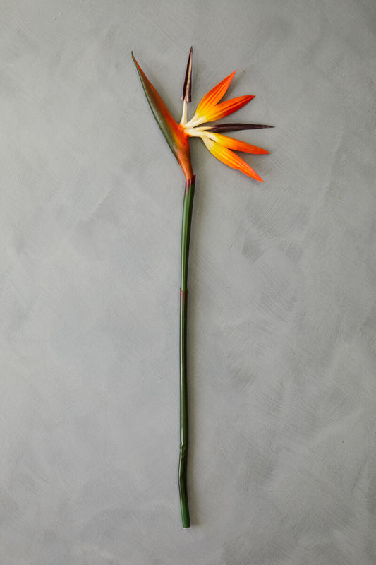 Fiori Artificial flowers 92cm Bird Of Paradise