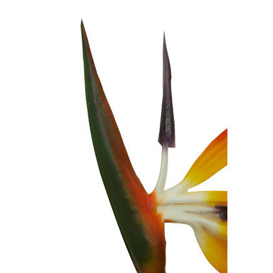 Fiori Artificial flowers 92cm Bird Of Paradise