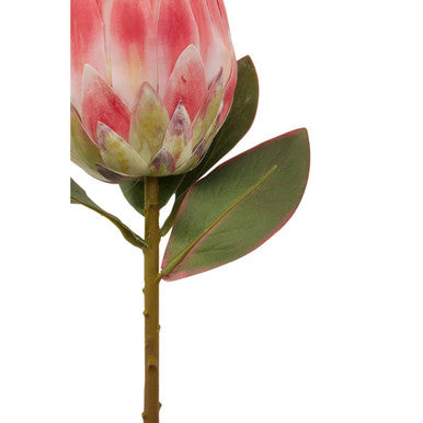 Fiori Pink Protea Flower Stem