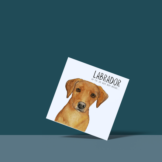 Paws-itively Delicious Wishes – From the Om Nom Nomnivore!