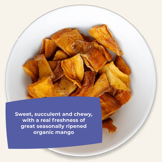 Organic Gently Dried Mango Slices