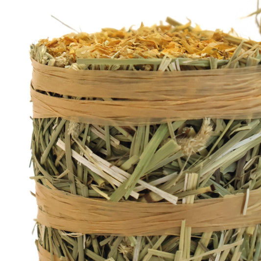 Burgess Forage & Feast Hay Bale with Marigold