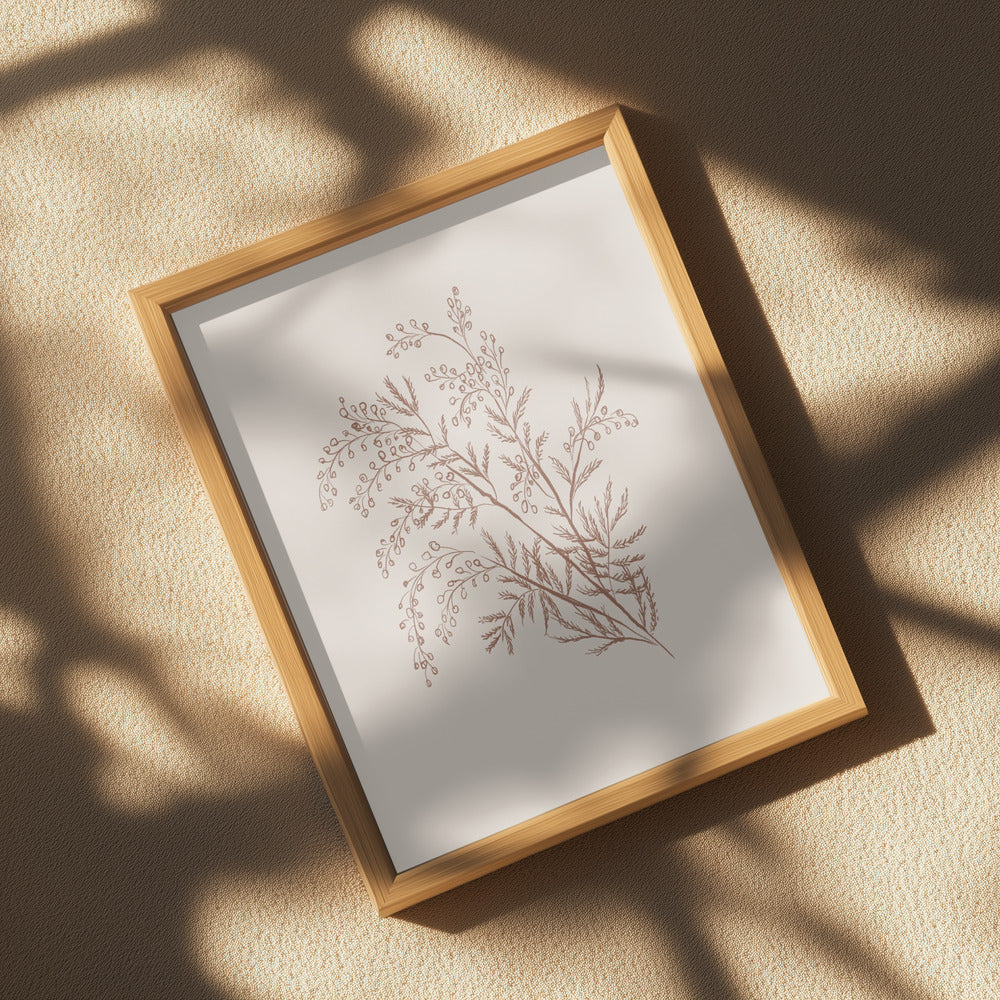 White Acacia Botanical Branch Print