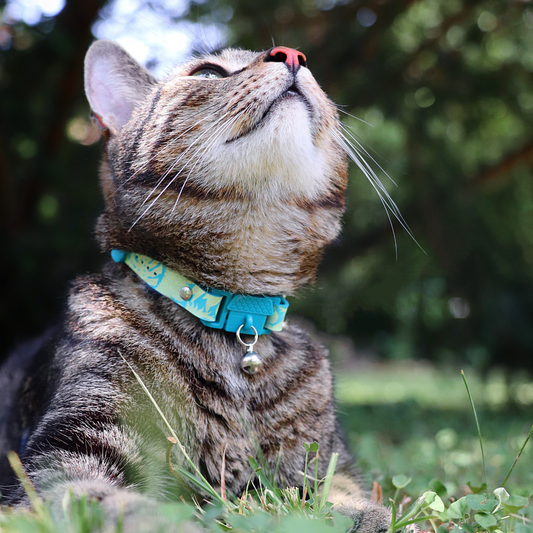 KITTYRAMA KITTEN BOTANICALS JUNGLE COLLAR - Quick Release, Breakaway, Hypoallergenic